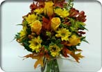 Autumn Foliage