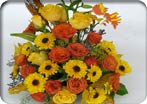 Autumn Celebration