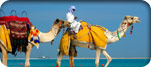 Dubai/Emirates Cruisetours