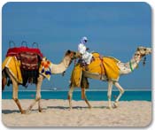 Dubai/Emirates Cruisetours