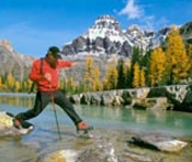 Canadian Rockies Cruisetours