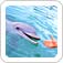 Caribbean Cruises