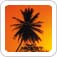 Caribbean Cruises