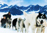 Alaska Cruises