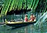 Hawaii Cruise Vacation Packages