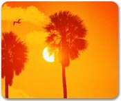 Royal Caribbean Offers
