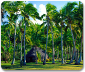 Lifou, Loyalty Island