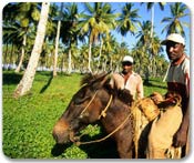 Samana, Dominican Republic