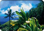 Exotic Destinations