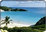 Exciting Cruises to a Variety of Destinations