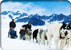 Alaska Cruises