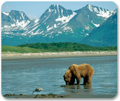 royal_caribbean_alaska_cruise_tour.jpg