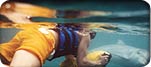 Snorkel & SCUBA Tours