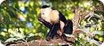 Wilderness & Wildlife Tours