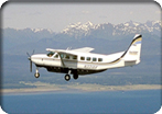 Glacier Bay Flightseeing