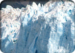 Mendenhall Glacier & Salmon Hatchery