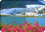 Alaska Sightseeing Package