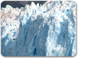 Mendenhall Glacier & Salmon Hatchery