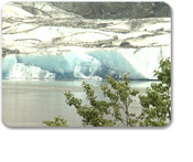 Mendenhall Glacier & Salmon Bake