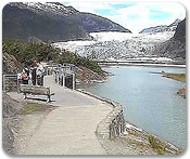 Mendenhall Glacier & Salmon Hatchery