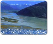 Glacier Flightseeing via Floatplane