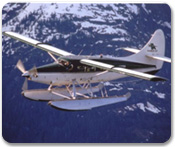 Misty Fjords Seaplane Adventure