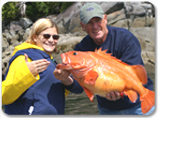 Exclusive Guided Fishing & Wilderness Dining