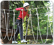 Rainforest Ropes & Zipline Challenge