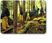 Wilderness Cruise & Rainforest Exploration