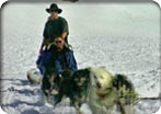 Dog Sledding & Glacier Flightseeing
