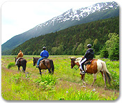 Horseback Riding Adventure
