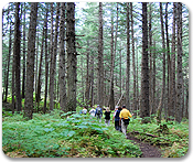 Sawtooth Mountain Nature Hike