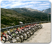 White Pass Train & Klondike Bike Tour