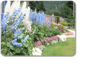 A Taste of Skagway