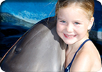 Close Dolphin Encounter