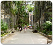 Nassau & Paradise Island Tour