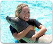 Atlantis Shallow Water Sea Lion Interaction and Atlantis Beach