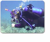 Nassau Certified Scuba 2 Tank w/out equipment