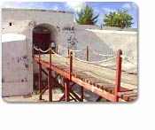 Nassau & Paradise Island Tour