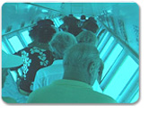 Nassau Sea & See Island Tour
