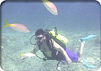 SeaTrek Scuba Dive Without Equipment