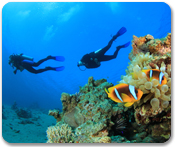 SeaTrek Scuba Dive Without Equipment