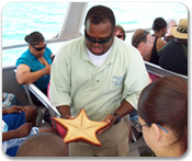 Aquatic Adventure Tour