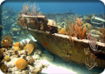 Bermuda Triangle Shipwreck Snorkel