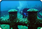 Bermuda Scuba Adventure - All Inclusive 2 Tank Dive