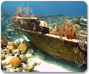 Bermuda Triangle Shipwreck Snorkel