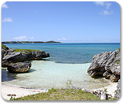 Devils Isle Cruise Beach Snorkel