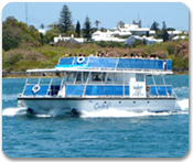 Goslings Rum Cruise