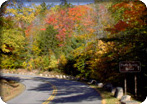 Acadia Park & Lobster Bake