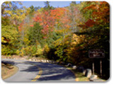 Acadia Park & Lobster Bake